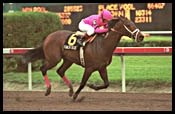 Forest Secrets Ends Summer Colony's Win Streak in Rampart Forest Secrets Ends Summer Colony's Win Streak in Rampart