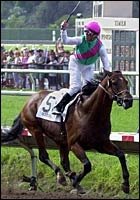 Skimming Assigned Highweight for Meadowlands Cup Skimming Assigned Highweight for Meadowlands Cup