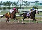 Costa Rising, Short Prices Mark Louisiana-Bred Card Costa Rising, Short Prices Mark Louisiana-Bred Card