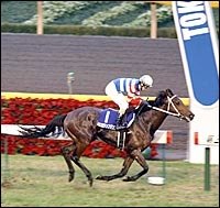 Tap Dance City's Japan Cup Romp Gives Lane's End Sires Weekend Sweep Tap Dance City's Japan Cup Romp Gives Lane's End Sires Weekend Sweep
