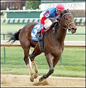My Boston Gal Thunders Home in Golden Rod My Boston Gal Thunders Home in Golden Rod