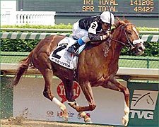 Sir Shackleton Untouchable in Derby Trial Sir Shackleton Untouchable in Derby Trial