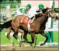 Eclipse Awards: 3-Year-Old Filly: Surfside Eclipse Awards: 3-Year-Old Filly: Surfside