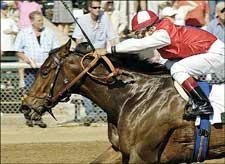 Diplomat Lady Wins Stonerside Beaumont Diplomat Lady Wins Stonerside Beaumont