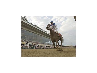 Will Smarty Jones duplicate his Preakness win in the Belmont and take home the coveted Triple Crown trophy?