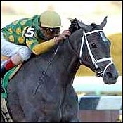 Saratoga Notebook: Velazquez Equals Win Mark; 'Woe Bobby'; Sky Mesa Gallops On; New Face in Spinaway; Sackatoga's Latest 'Episode' Saratoga Notebook: Velazquez Equals Win Mark; 'Woe Bobby'; Sky Mesa Gallops On; New Face in Spinaway; Sackatoga's Latest 'Episode'