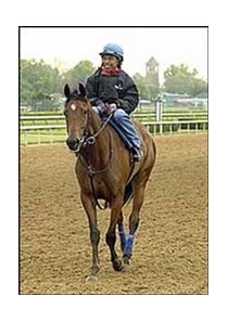 Hall of Fame jockey Angel Cordero, aboard a Todd Pletcher-trained horse at Churchill Downs.
