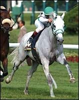 Saratoga Racing Report: Get With It Saratoga Racing Report: Get With It