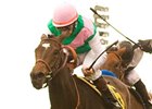 Tuscan Evening, Visit Clash in Royal Heroine Tuscan Evening, Visit Clash in Royal Heroine