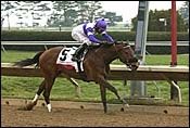 Elloluv Ends Lady Tak's Unbeaten Streak With Ashland Win Elloluv Ends Lady Tak's Unbeaten Streak With Ashland Win
