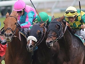 9-Year-Old Cloudy's Knight Wins Sycamore 9-Year-Old Cloudy's Knight Wins Sycamore