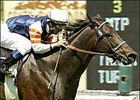 Singletary and jockey Alex Solis take the Arcadia Handicap, Saturday at Santa Anita.