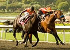 Ventana (right) outfights Gato Go Win to win the Potrero Grande Handicap.<br><a target="blank" href="http://www.bloodhorse.com/horse-racing/photo-store?ref=http%3A%2F%2Fpictopia.com%2Fperl%2Fgal%3Fprovider_id%3D368%26ptp_photo_id%3D8874608%26ref%3Dstory">Order This Photo</a>