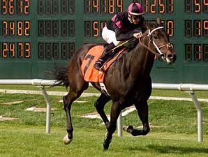 Bay Meadows Suit Won't Stop Project Bay Meadows Suit Won't Stop Project