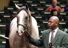 Hip #1447, colt, Unbridled's Song - Sweet Nanette by You and I, sold for $560,000 to lead the 6th session of the Keeneland September yearling sale.