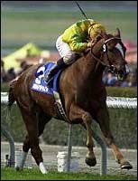 Cal-Bred Road to Slew Wins Kilroe Mile Cal-Bred Road to Slew Wins Kilroe Mile
