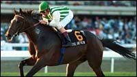 Royal Anthem Shines in Breeding Shed Royal Anthem Shines in Breeding Shed