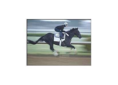 Bellamy Road, breezed at Churchill Downs Sunday morning.