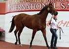 The top-priced 2-year-old sold, an Exceed And Excel gelding, brought HK$5.7 million ($735,484 in U.S. funds) from Tung Moon Fai.