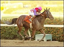 Japanese Mare Rolls to Victory in Dahlia Stakes Japanese Mare Rolls to Victory in Dahlia Stakes
