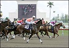 Gulfstream Opens 'Transitional Meet' With Some Glitches Gulfstream Opens 'Transitional Meet' With Some Glitches