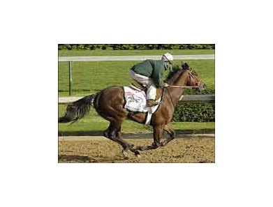 Derby prospect Seaside Retreat worked five furlongs at Churchill Thursday morning.
