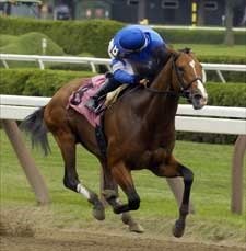 Discreet Cat Posts Smart Mile Drill at Nad Al Sheba Discreet Cat Posts Smart Mile Drill at Nad Al Sheba