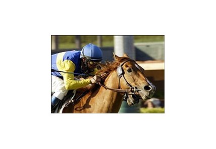 Megahertz wins Santa Ana.