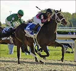 Maiden Bel Air Beauty Pulls Shocker in Alcibiades Maiden Bel Air Beauty Pulls Shocker in Alcibiades