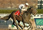 Court Vision wins the Nov. 24 Remsen Stakes at Aqueduct in spectacular fashion.<br><a target="blank" href="http://www.bloodhorse.com/horse-racing/photo-store?ref=http%3A%2F%2Fpictopia.com%2Fperl%2Fgal%3Fprovider_id%3D368%26ptp_photo_id%3D2859610%26ref%3Dstory">Order This Photo</a>