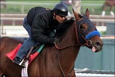 Canani All Smiles After Sweet Catomine's Drill Canani All Smiles After Sweet Catomine's Drill