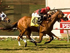 Gotta Have Her Wins Duel for Palomar Repeat Gotta Have Her Wins Duel for Palomar Repeat
