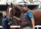 Tonalist at Belmont Park.