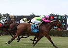 Miami Mile winner Mambo Meister carries top weight in the Memorial Day Handicap at Calder.
