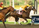 Ventana (left) finished a half-length behind Kinsale King in the Palos Verdes Handicap.<br><a target="blank" href="http://www.bloodhorse.com/horse-racing/photo-store?ref=http%3A%2F%2Fpictopia.com%2Fperl%2Fgal%3Fprovider_id%3D368%26ptp_photo_id%3D8758153%26ref%3Dstory">Order This Photo</a>