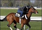Derby Fever Strikes: Bwana Bull, Teuflesberg Pointed To Classic Derby Fever Strikes: Bwana Bull, Teuflesberg Pointed To Classic