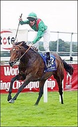 Alamshar Romps in Ascot's King George Alamshar Romps in Ascot's King George