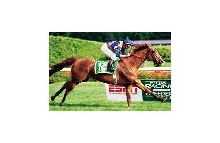 John's Call, Jean-Luc Samyn up, shown winning the Gr. I Sword Dancer at Saratoga, August, 2000.