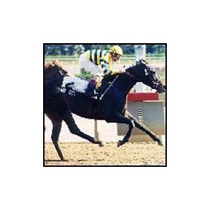 Win City, Canadian Horse of the Year.