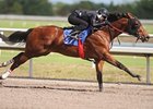 Woods' Juveniles Shine in F-T Under Tack Show Woods' Juveniles Shine in F-T Under Tack Show