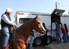 As Bob Baffert, aboard his pony, looks on, trainer Chip Woolley loads Derby winner Mine That Bird onto his van for the trip of Pimlico.