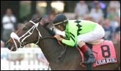 San Dare, Allamerican Bertie Win Gulfstream Stakes San Dare, Allamerican Bertie Win Gulfstream Stakes