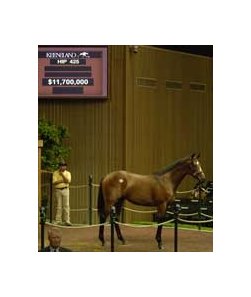 Kingmambo colt sets September sale record.<br><a target="blank" href="http://www.bloodhorse.com/horse-racing/photo-store?ref=http%3A%2F%2Fpictopia.com%2Fperl%2Fgal%3Fgallery_id%3D7157%26process%3Dgallery%26provider_id%3D368%26ptp_photo_id%3D551350%26sequencenum%3D%26page%3D">Order This Photo</a>
