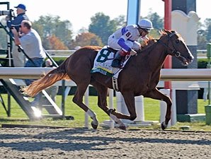 Square Eddie to Run in Lexington Stakes Square Eddie to Run in Lexington Stakes