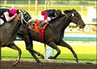 Rock Hard Ten hopes to take Goodwood on way to Classic.