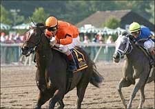Bear Now Wires Cotillion Field, Octave Second Bear Now Wires Cotillion Field, Octave Second