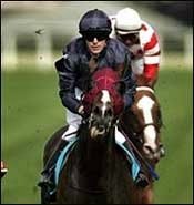 Powerscourt Injured, Will Miss Irish Champion Powerscourt Injured, Will Miss Irish Champion