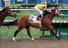 Crimson Stag Outclasses Crescent City Foes Crimson Stag Outclasses Crescent City Foes