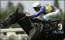Manduro Superb in Prince of Wales Victory Manduro Superb in Prince of Wales Victory