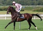 Scorpion will stand stud at Coolmore Ireland in 2008.